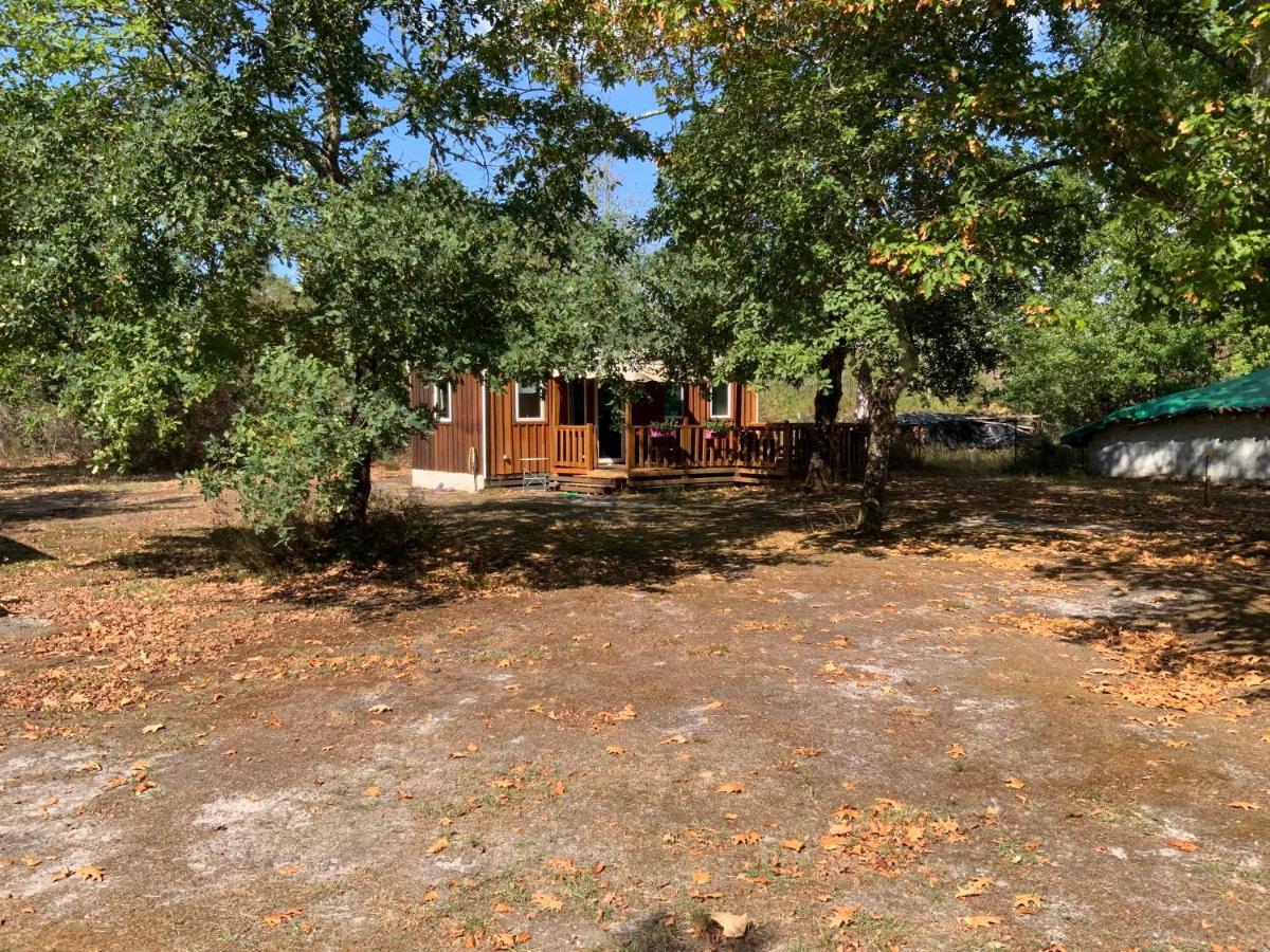 Bed and Breakfast Domaine De Labelo Commensacq Esterno foto