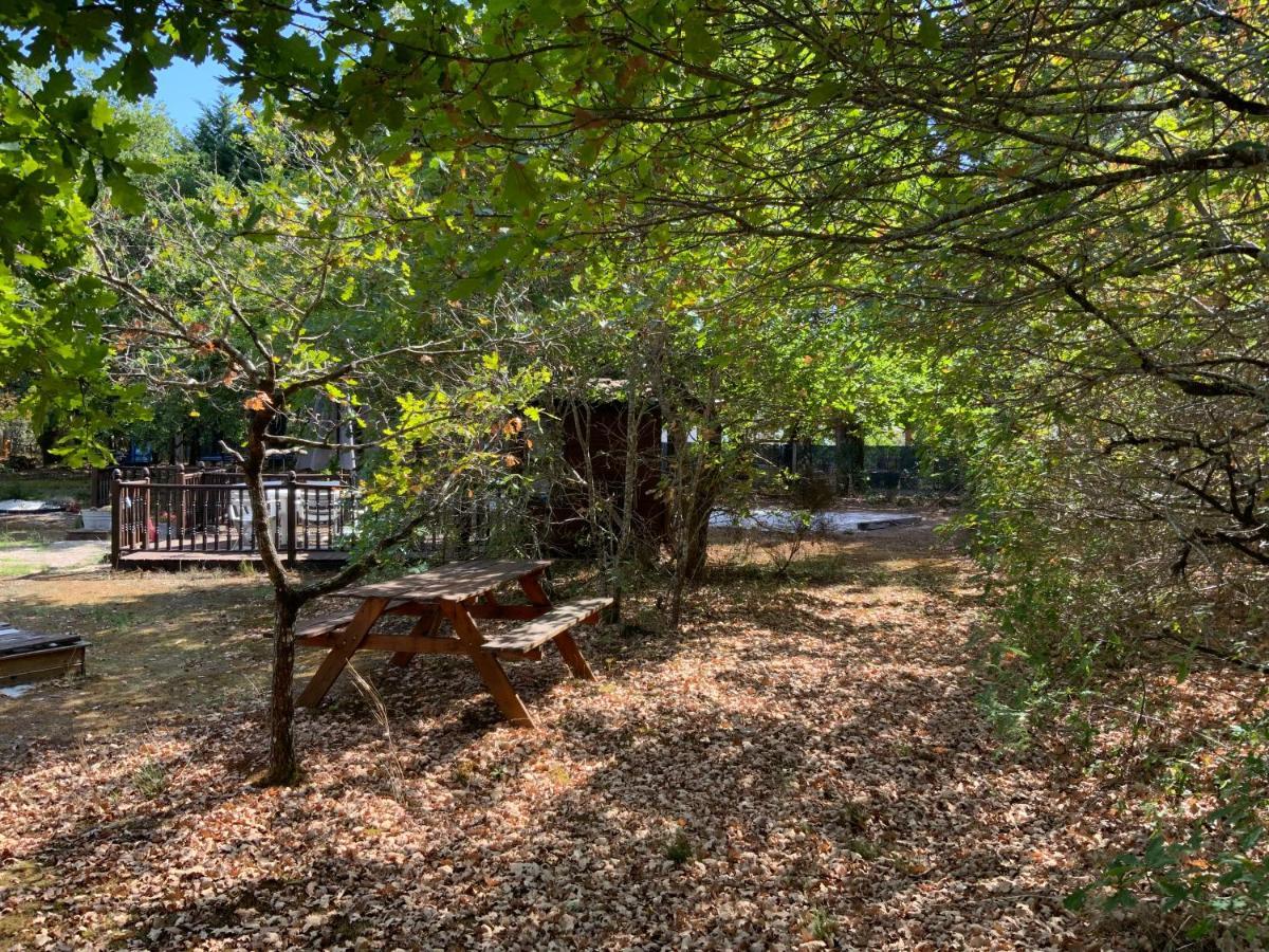 Bed and Breakfast Domaine De Labelo Commensacq Esterno foto