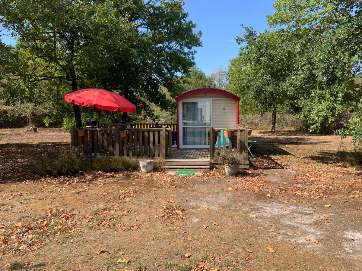 Bed and Breakfast Domaine De Labelo Commensacq Esterno foto