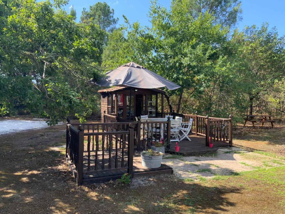 Bed and Breakfast Domaine De Labelo Commensacq Esterno foto