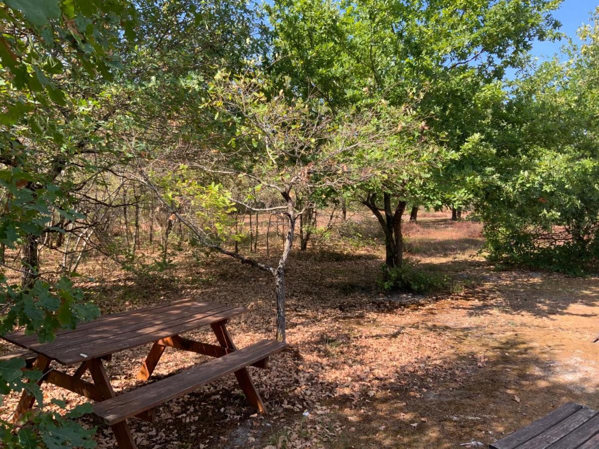 Bed and Breakfast Domaine De Labelo Commensacq Esterno foto