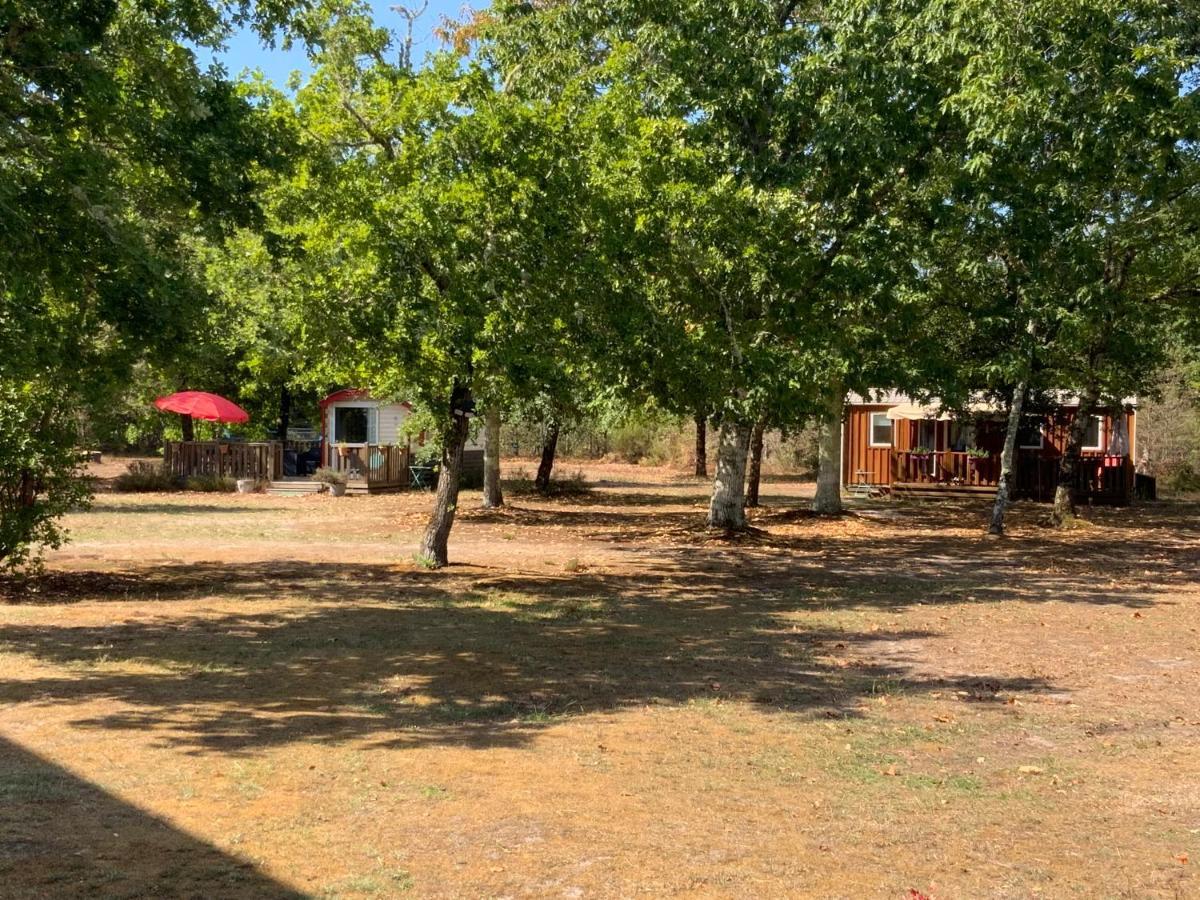 Bed and Breakfast Domaine De Labelo Commensacq Esterno foto